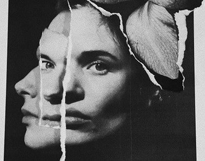 Штрафы за лающих собак и неисправную автосигнализацию. Как изменится административный кодекс