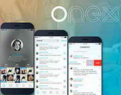 Honor представил новый смартфон с очень большим дисплеем и доступной ценой