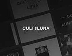 Kultura Liberalna (Польша): рупор неудачников. О репортажах Елены Костюченко