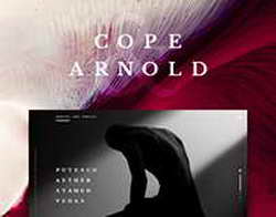 COVID-19 в Приморье: губернатор продлил режим повышенной готовности