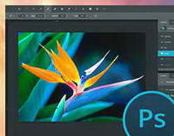 Легендарному Adobe Photoshop исполнилось 30 лет