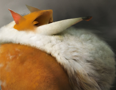 Релиз Firefox 73