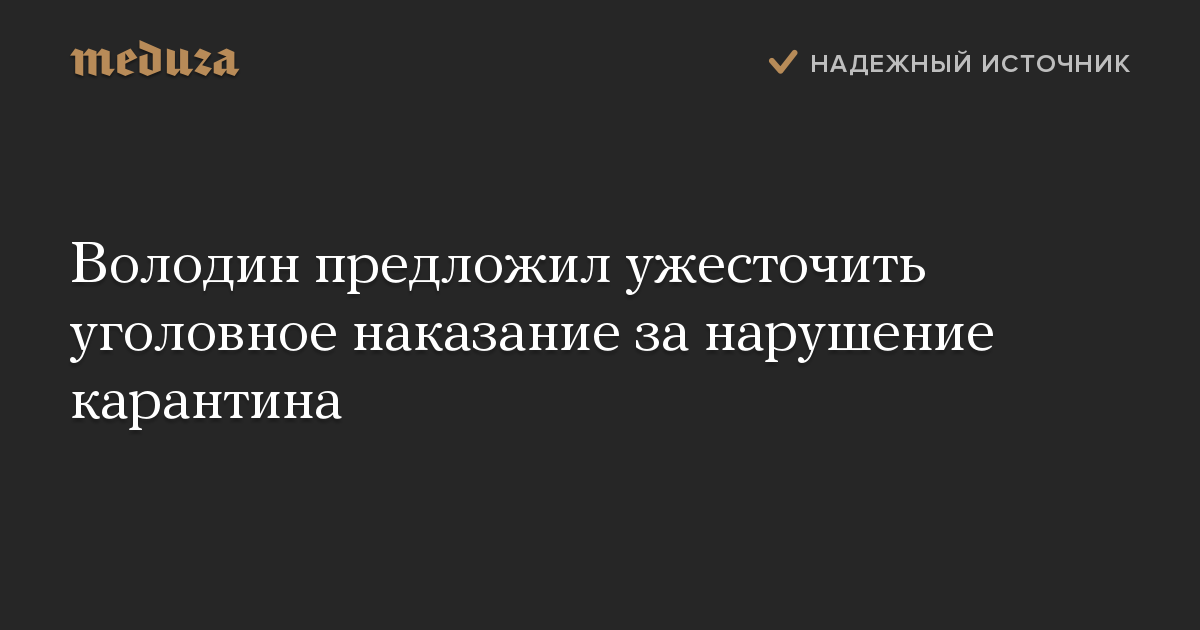 Володин предложил ужесточить уголовное наказание за нарушение карантина