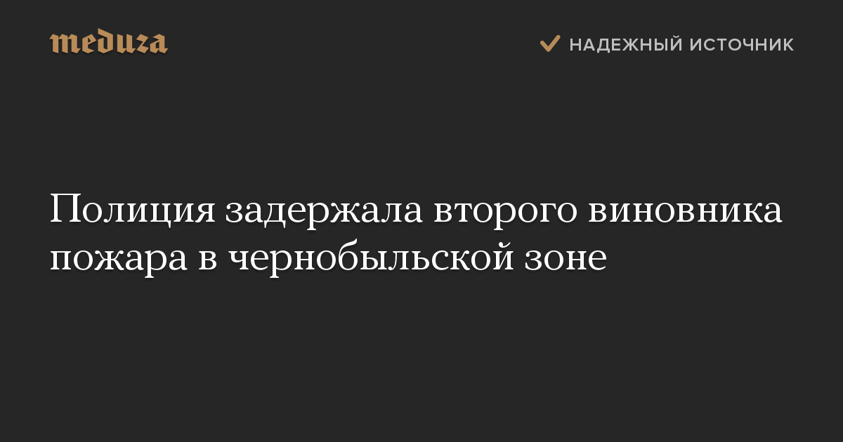 Полиция задержала второго виновника пожара в чернобыльской зоне