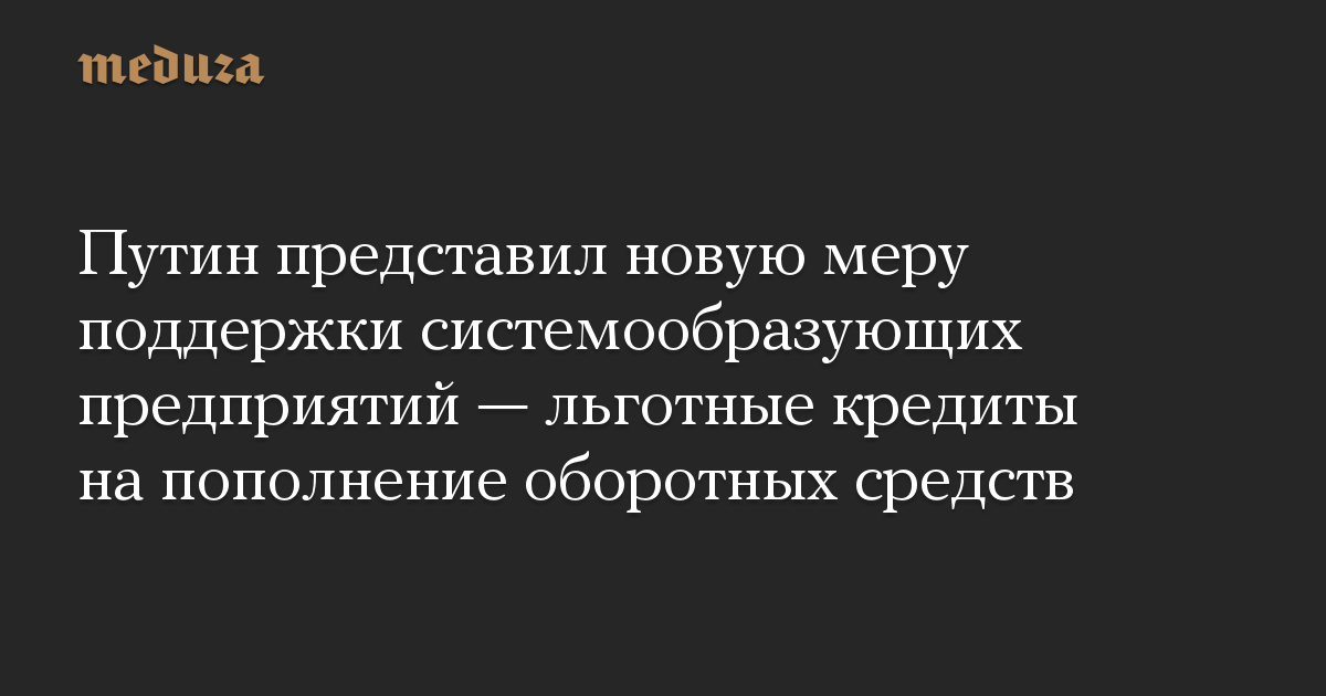 Путин представил новую меру поддержки системообразующих предприятий — льготные кредиты на пополнение оборотных средств