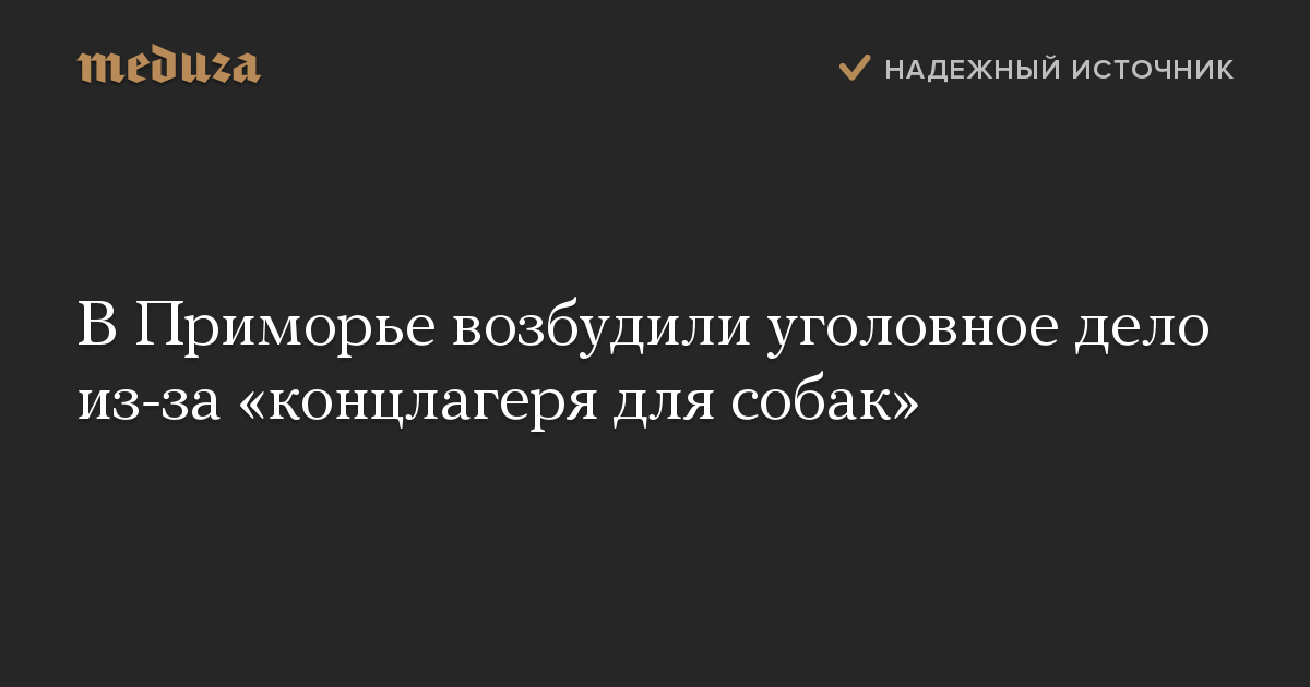 В Приморье возбудили уголовное дело из-за «концлагеря для собак»