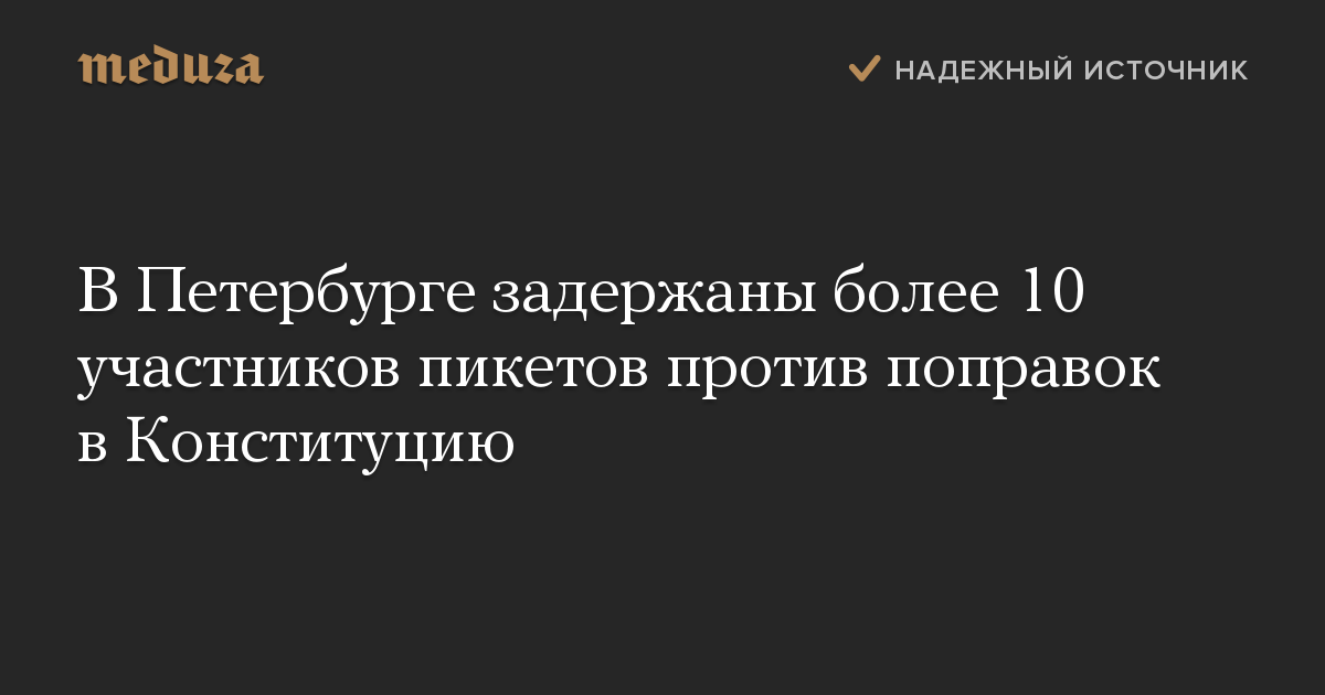 В Петербурге задержаны более 10 участников пикетов против поправок в Конституцию