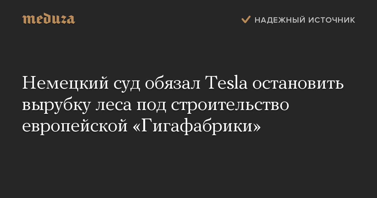 Немецкий суд обязал Tesla остановить вырубку леса под строительство европейской «Гигафабрики»