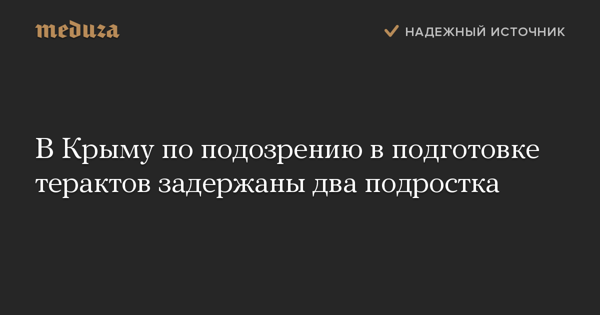 В Крыму по подозрению в подготовке терактов задержаны два подростка