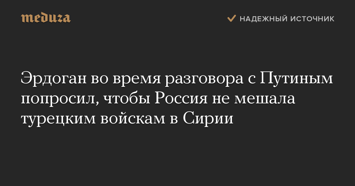 Эрдоган во время разговора с Путиным попросил, чтобы Россия не мешала турецким войскам в Сирии