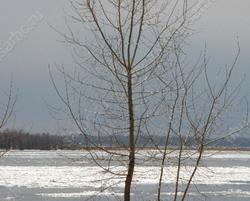 Зима заканчивается плюсом