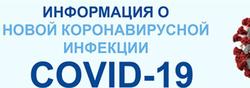 Коронавирус. В РФ зарегистрировано 114 случаев инфекции, один - в Пензе