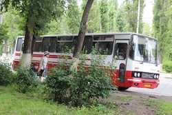 На дачные маршруты выйдут дополнительные автобусы