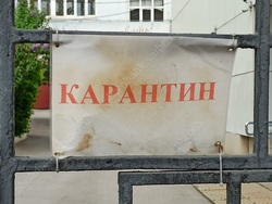 В Новоузенском районе отменяют карантин по коронавирусу