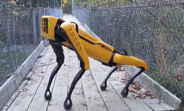 Робопёс Spot от Boston Dynamics в новом видео гуляет по садам, пасёт овец и валяется на травке