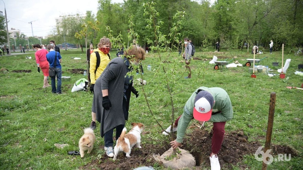 Александр Высокинский одним заявлением спровоцировал новый «зеленый» конфликт в Екатеринбурге