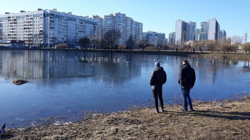 Торговые центры, рестораны и даже парки — что не будет работать в Петербурге на следующей неделе