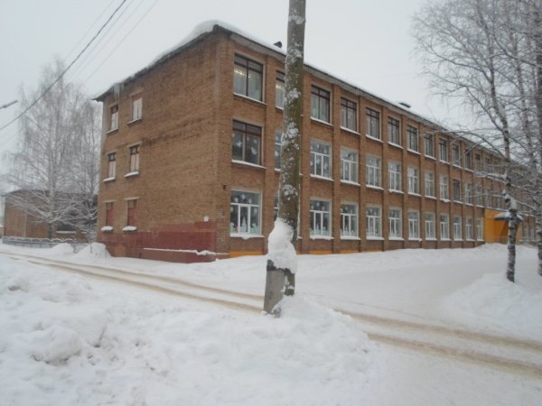 В Сыктывкаре школьницы жестоко избили одноклассницу