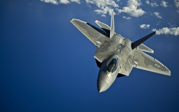 Эксперт из США рассказал, почему F-22 хуже российского Су-35