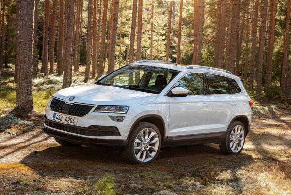 «Остерегайтесь официалов!» – Владелец Skoda Karoq посетовал на «тупой косяк» ОД