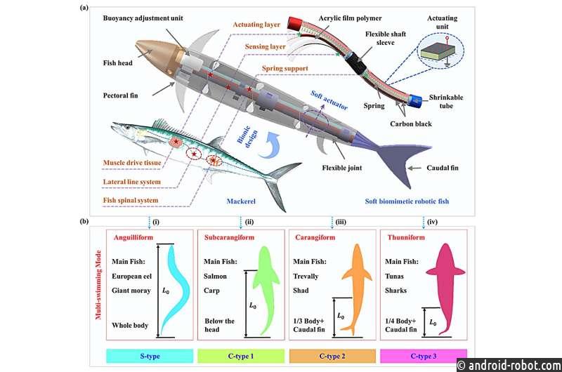 Мягкая роботизированная рыба демонстрирует расширенные возможности многорежимного плавания