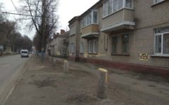 Пока власти рапортуют об одних пересаженных деревьях в центре Брянска безжалостно вырубают другие