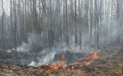 У деревни Мылинка накануне весь день тушили пожар