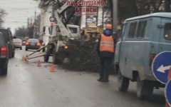 Кронирование деревьев в Брянске привело к автомобильной пробке