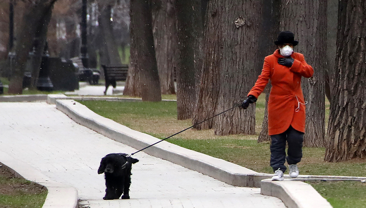 Собака в аренду: для прогулок на время карантина москвичам предлагают 'друга на час'