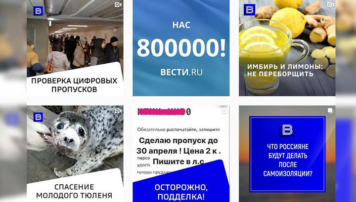 На Вести в Instagram подписались 800 тысяч человек