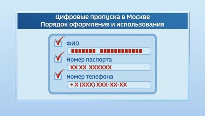 Злоумышленники пытаются обрушить столичный сайт с цифровыми пропусками