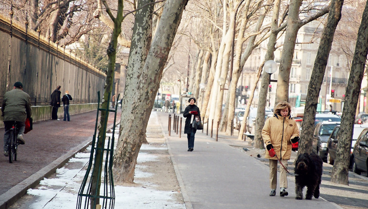 В конце недели в Москву придет зима. Но ненадолго