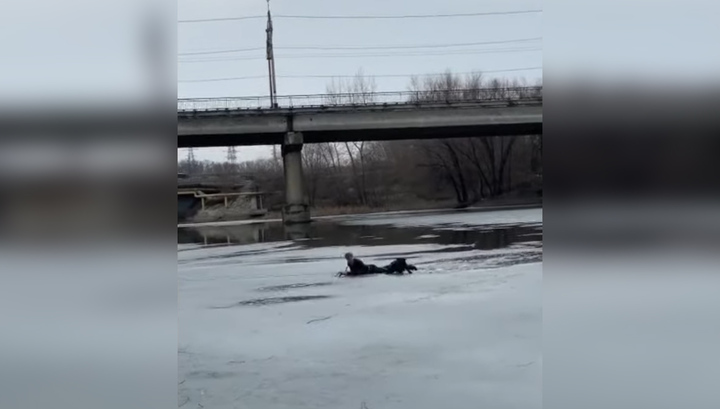 Бросился на помощь и провалился сам: спасение тонущей собаки попало на видео