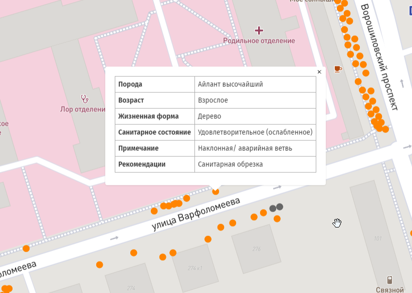 В Ростове появилась электронная карта деревьев