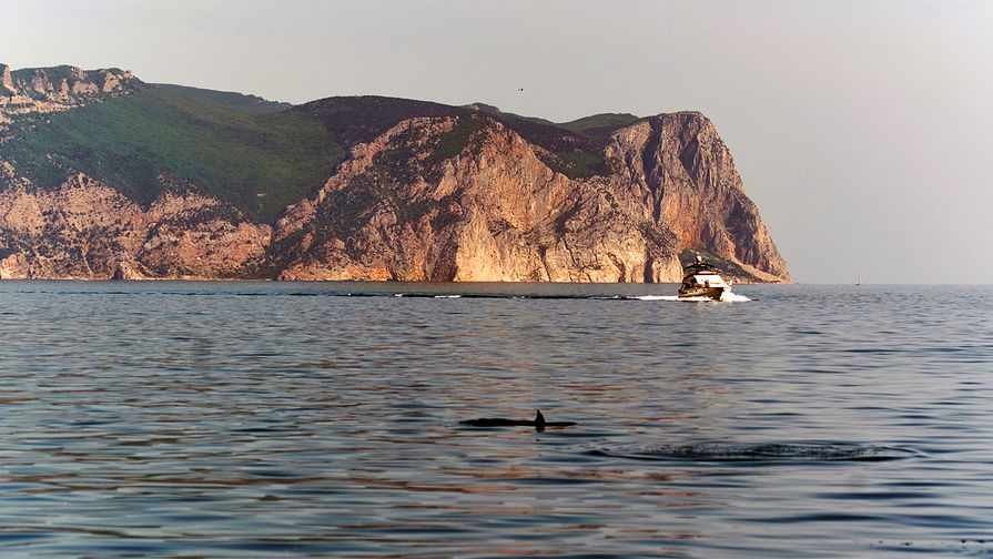 Одесситов призвали не купаться в Черном море