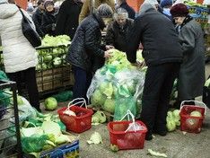 В Волгоградской области резко подорожал лук, выросли цены на овощи и лекарства