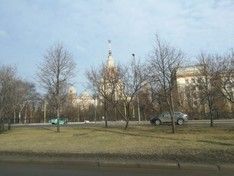 Десятиградусное тепло обещают в Москве на выходные