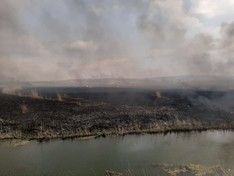 На Камчатке пожарные пытаются отстоять село от огня