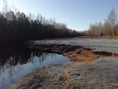 В лесу Ленобласти заблудился подросток