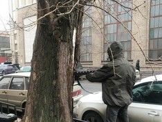 На Васильевском острове в Петербурге пытаются срубить дерево ради парковочного места