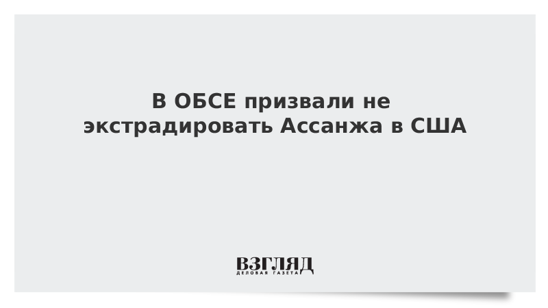 В ОБСЕ призвали не экстрадировать Ассанжа в США