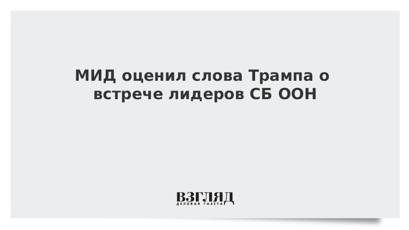 МИД оценил слова Трампа о встрече лидеров СБ ООН