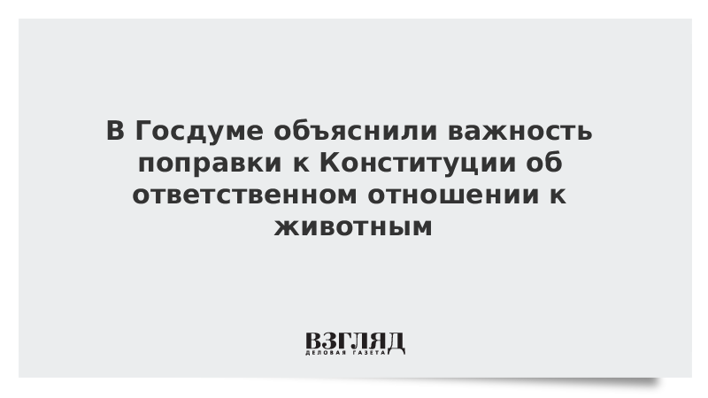 В Госдуме объяснили важность поправки к Конституции об ответственном отношении к животным