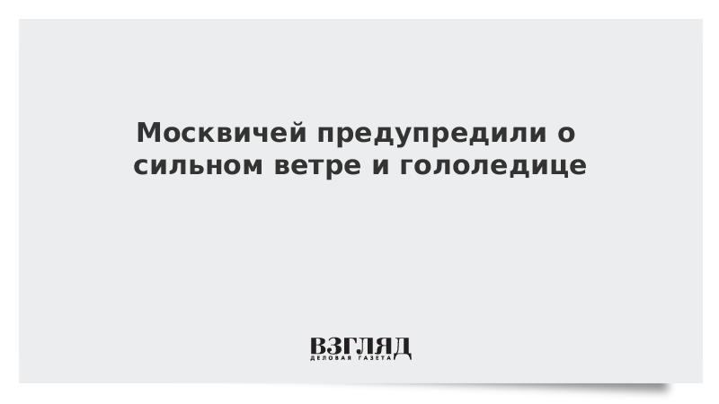 Москвичей предупредили о сильном ветре и гололедице