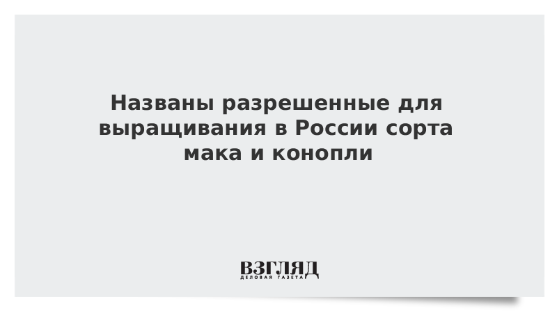 Названы разрешенные для выращивания в России сорта мака и конопли