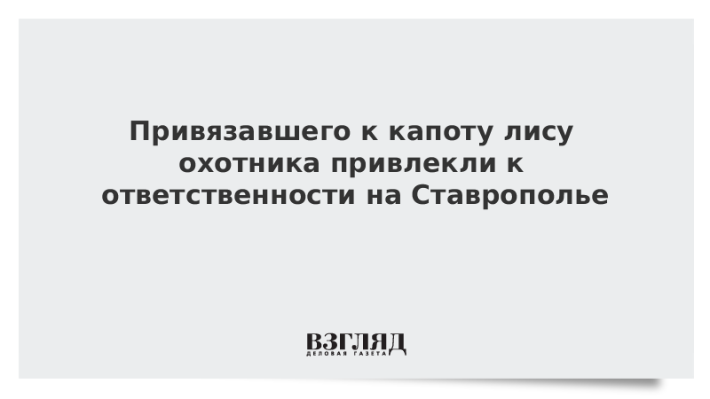 Привязавшего к капоту лису охотника привлекли к ответственности на Ставрополье