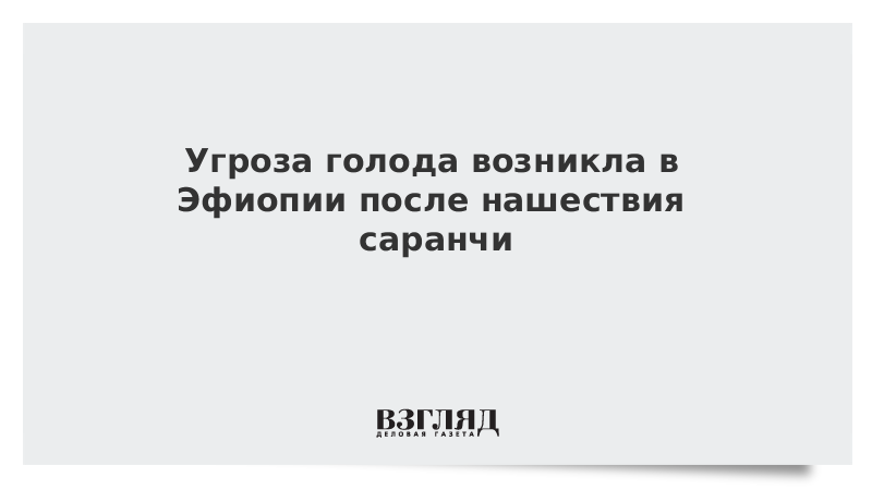 Угроза голода возникла в Эфиопии после нашествия саранчи