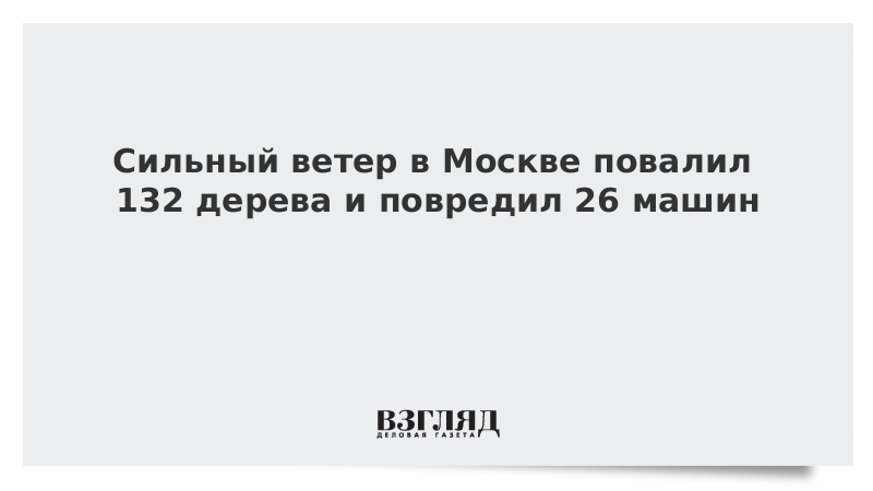 Сильный ветер в Москве повалил 132 дерева и повредил 26 машин