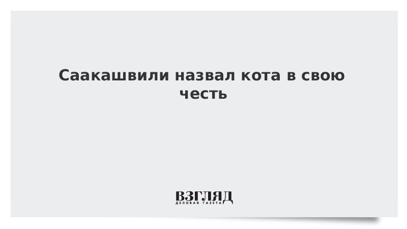 Саакашвили назвал кота в свою честь