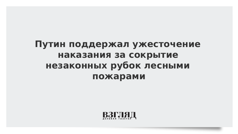 Путин поддержал ужесточение наказания за сокрытие незаконных рубок лесными пожарами